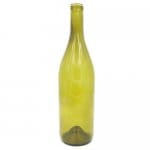 Green Bottle Color